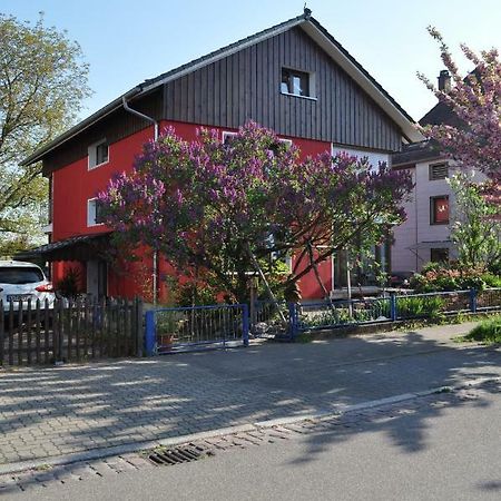 Punkrock Harbour Pension Baehr كارلسروه المظهر الخارجي الصورة